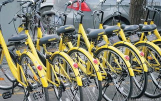 共享單車訂單潮席卷，自行車產(chǎn)業(yè)鏈迎來“第二春”